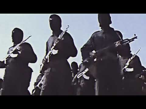 FEDAYEENWAVE I:I موجة فدائيين