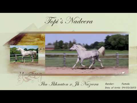 Topi's Nadeera 720P