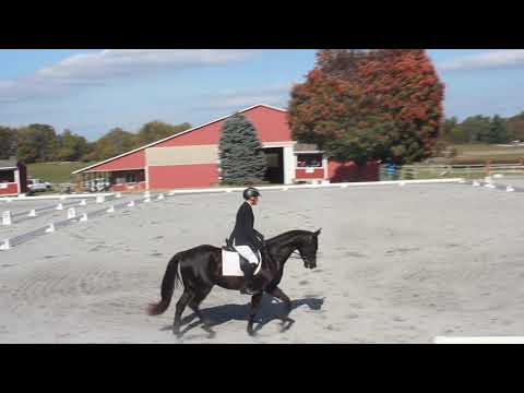 Boyd Martin at Waredaca Classic Three Day Event and Horse Trials | October 2021