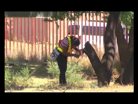 Special Assignment, Deadly Grounds (School Violence)