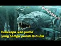 BEBERAPA IKAN PURBA YANG MASIH HIDUP SAMPAI SEKARANG Ancient Fish