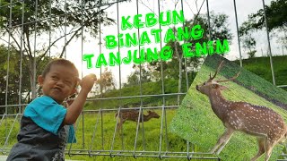 preview picture of video 'Viralll Kebun Binatang Tanjung Enim'