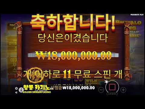 버팔로 킹 언테임드 메가웨이 슬롯 프리스핀 최대액당첨