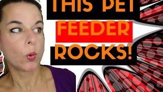 Feed And Go Pet Automatic Feeder Review: Wet and Dry Food!  😺🐈🐶🐕