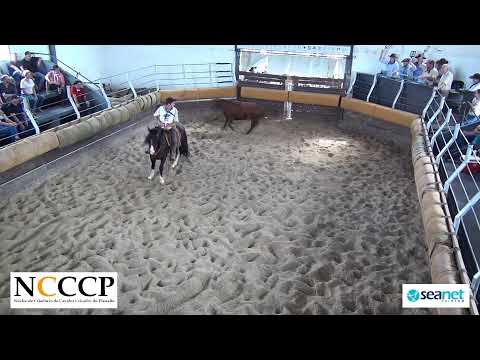 NCCCP 2022 - Prova de Mangueira I