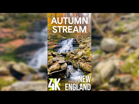 2 HRS Relaxing Nature Sounds of Autumn Forest Stream - 4K Fall Foliage in New England Vertical Video