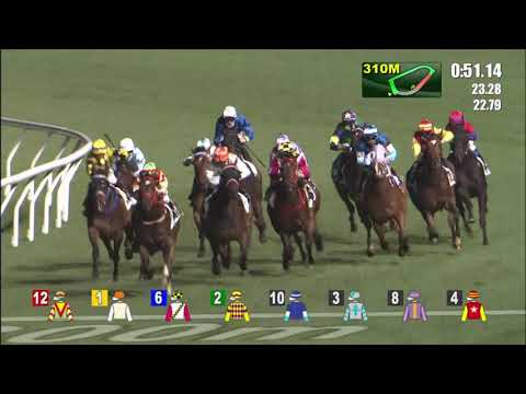 24/2/2021 (457) Daily Beauty - J Moreira