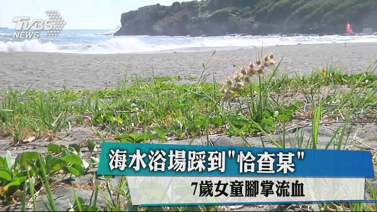 海水浴場踩到「恰查某」　7歲女童腳掌流血