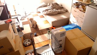 呼吸ちゃん2023元旦配信まとめ 後編【2023/01/01】