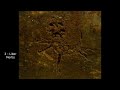 Ossuaire Mortes Fables 2010 FULL