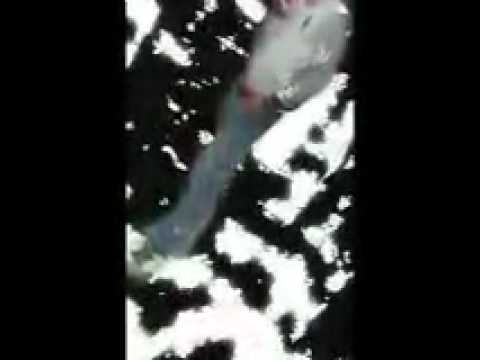 Okan Uğur -  (  BİR YANIM ÖZLEM )