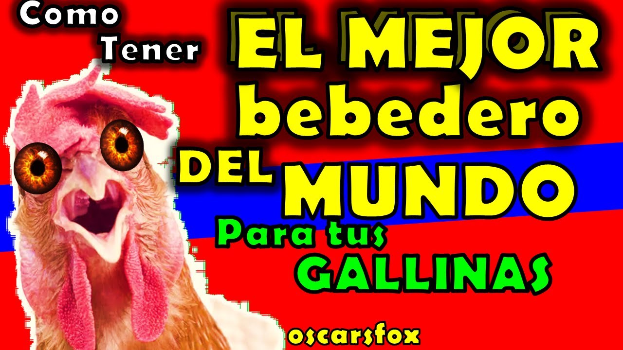 BEBEDEROS PARA GALLINAS 🚀 mejore la CALIDAD del AGUA DIY oscarsfox