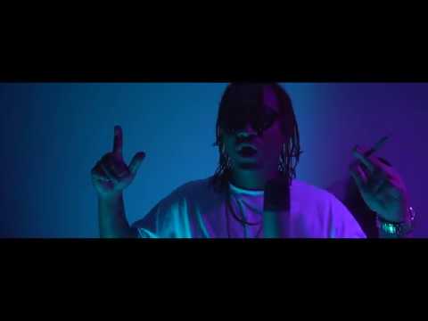 TAVN feat Premier King - Legaliza Brasil (Video Oficial)