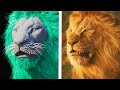 THE LION KING Behind The Scenes VFX Reel