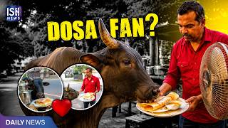 Internet Falls in Love With Dosa Seller Who Serves a Cow Daily!