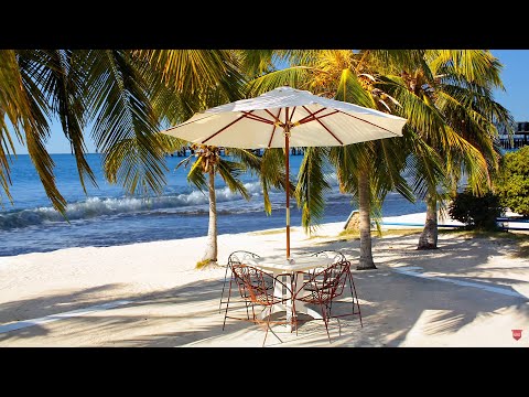 Outdoor Seaside Cafe Ambience & Bossa Nova Music☕ Outdoor Coffee Shop Sounds ASMR, Ocean Wave Sounds