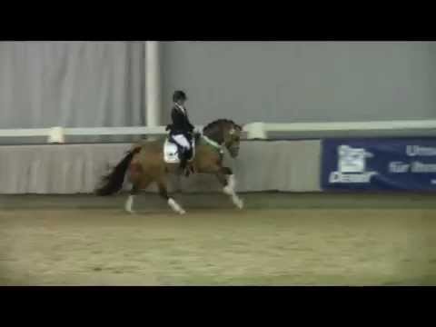 Movie Star Hengstschau Münster 8. Februar 2015