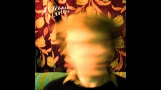 Ty Segall - Lemons (Full Album)