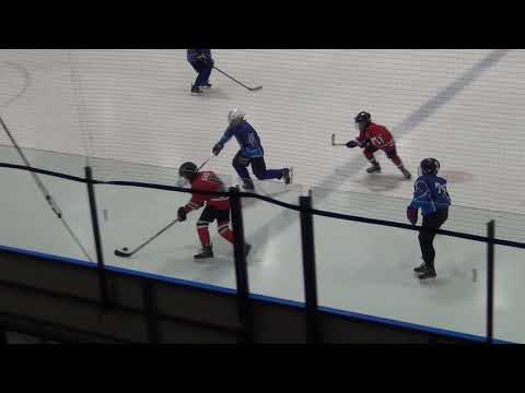 HC Panter E – HC Viking/TSK-Viru Sputnik E  1:9 (0:5 ; 0:2 ; 1:2)  30.11.2018