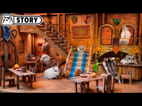 ⚔️ Hamster in the Dungeons & Dragons Maze - Dragon's Lair ⚔️ Homura Ham