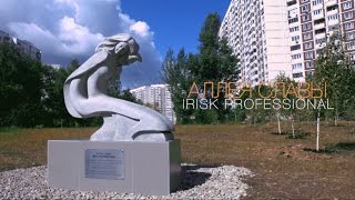 АЛЛЕЯ СЛАВЫ IRISK PROFESSIONAL