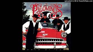 Los Palominos - Duele El Amor (1996)