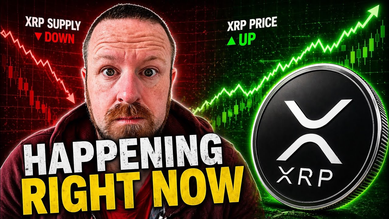 OMG! XRP Move Is Being Set Up Right Now