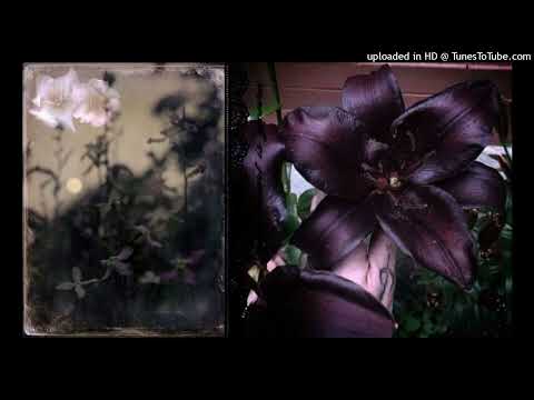 yung bruh x chris travis type beat "glow"