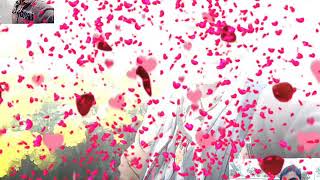 Sari duniya Teri diwani - YouTube