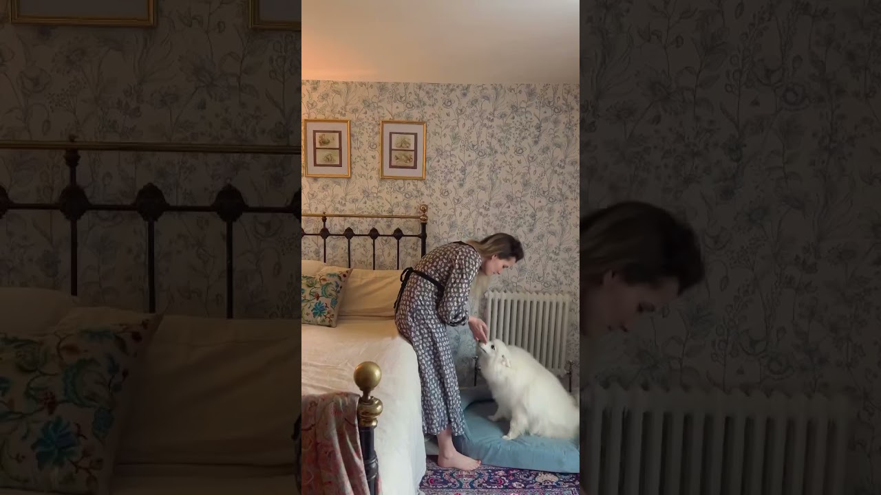 Welcome to our 250 year old cottage 🪿💕 #cottagecore