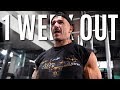 WHAT IT’S ACTUALLY LIKE TO COMPETE | 1 Week Out From NZ