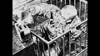 Devo - Gut Feeling (Mabuhay Gardens, San Francisco August 1977)