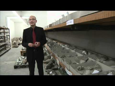 Pergamon | Panorama der antiken Metropole | Interview Direktor Antikensammlung