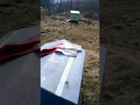 Обножка Мать и мачеха! 🤗