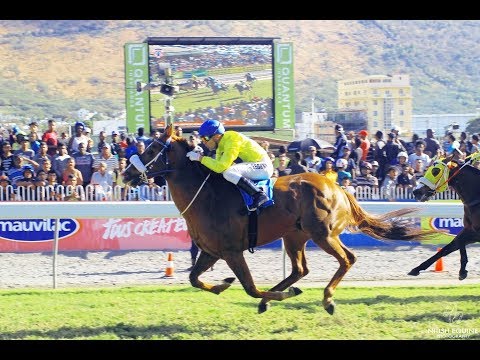 Ernie - The Lightning Cup 950m