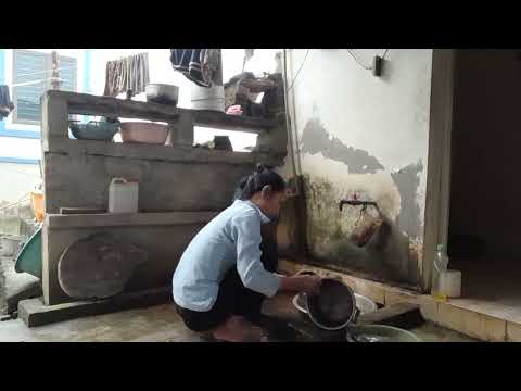 google discovery education Modular Forms and Galois Representations