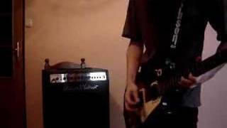 Millencolin - Birdie (sumek182 cover)