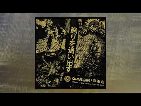 DISBRIGADE / D.H.K. (SPLIT 2024)