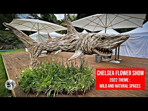 Petal-based brilliance -The Chelsea Flower Show