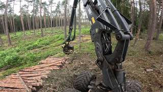 Atrankinis sanitarinis kirtimas | John Deere 1170G | IBC | H413 | MTH