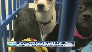58 dogs rescued from hoarding situation