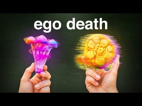 Mushrooms vs Ayahuasca: Which One Feels Better?