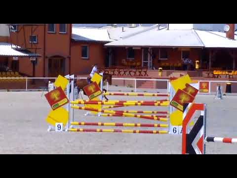 LIBRETTO (Biscayo x Livello) - 30.08.18 ZR-B Olsza-110 cm  I SPRZEDANY / SOLD