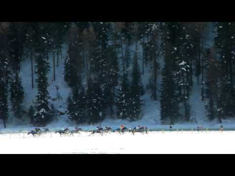 ST.MORITZ - White Turf Horse Racing On Snow