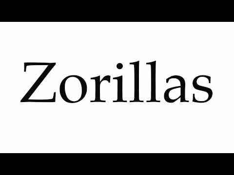 How to Pronounce Zorillas