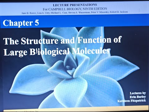 ابسط شرح بيولوجي Chapter 5-الجزء الأول