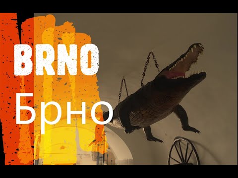 BRNO Hrad Špilberk, Brněnský drak, Katedrála sv. Petra a Pavla...