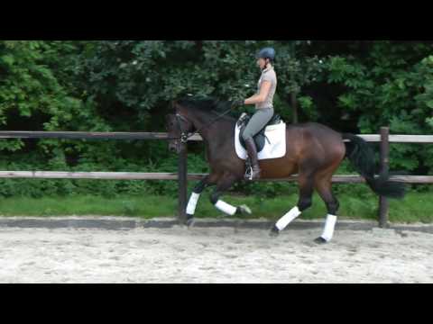 4.j.W. v. First Selection