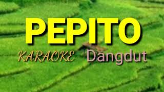 Download lagu PEPITO Karaoke Dangdut mp3