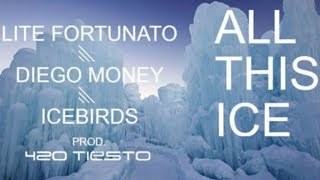 Lite Fortunato ft Diego Money & Ice Birds - All This Ice [Prod by 420Tiesto]